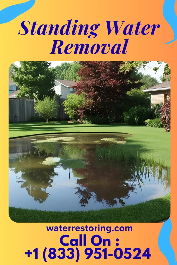 Standing Water Removal in Beckville, TX